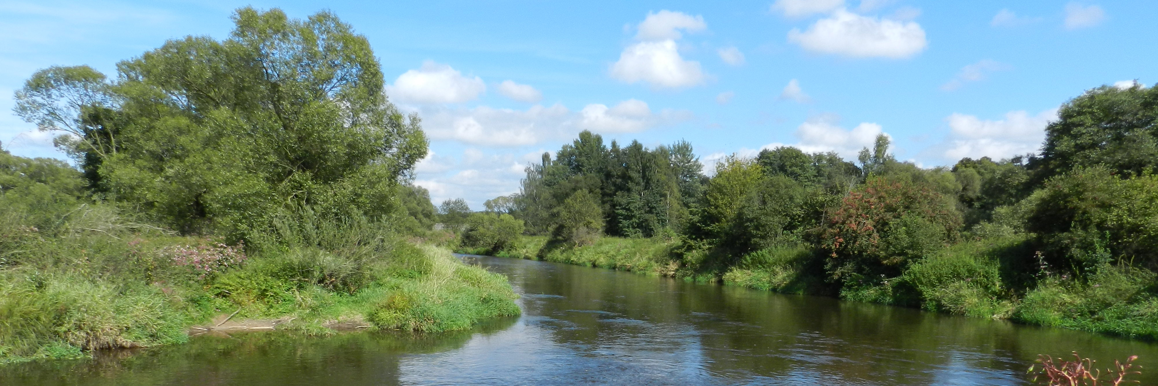 The Haidenaab (left) joins the Waldnaab (coming from above) near Unterwildenau to form the Naab. Wikimedia Commons.