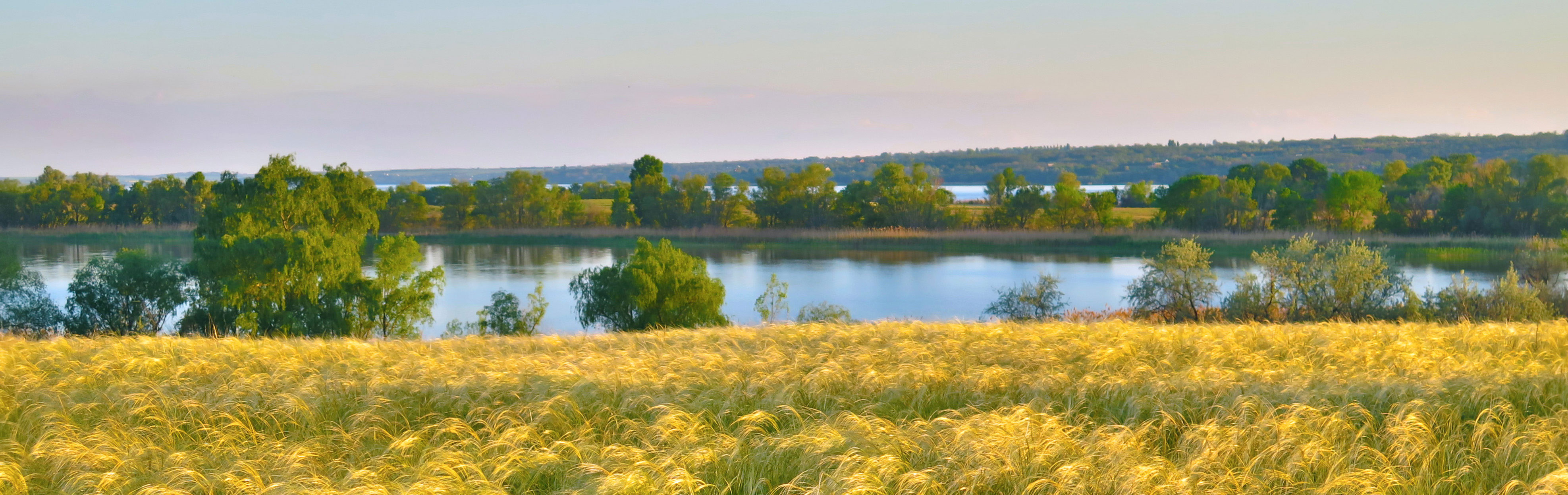 Dry grasslands in “Dniprovi Porohy” Regional Landscape Park. Photo: V. Maniuk. https://edgg.org/fieldworkshop2020