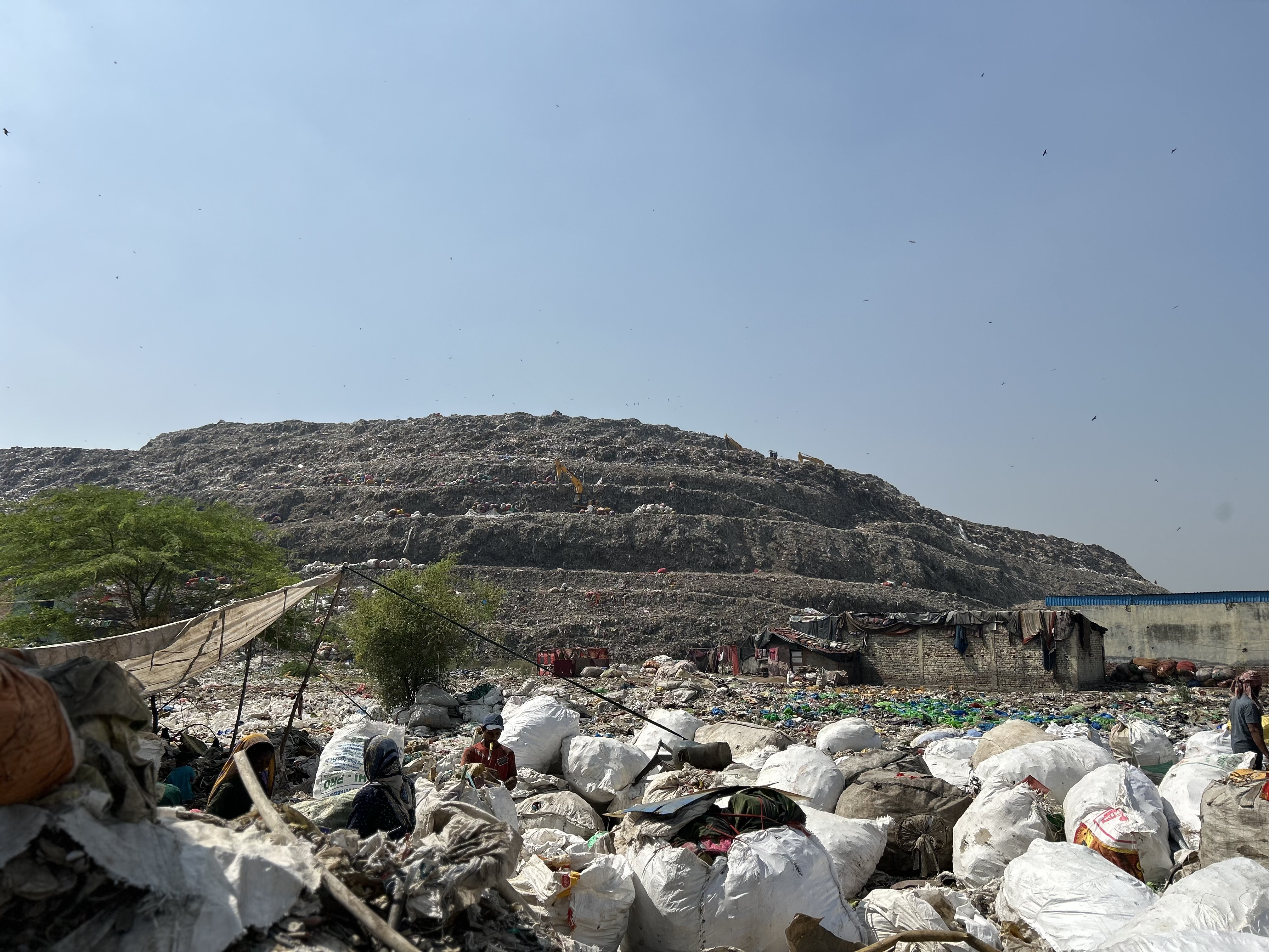 Laxmi Bohora, SEWA Delhi.