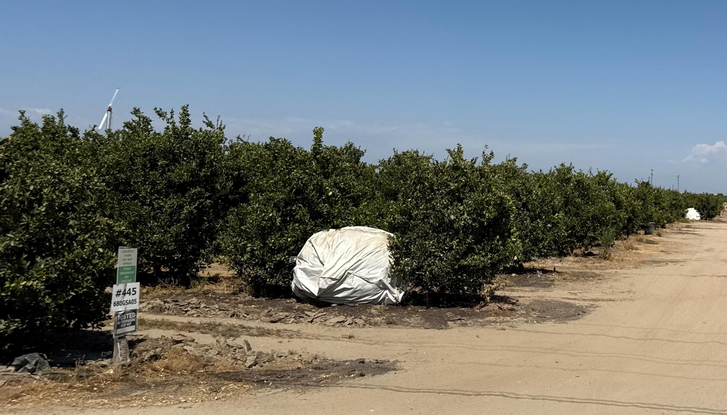 This image depicts the coordinates {36.66, -119.61}, the most likely location of the super emitter event. Photo by author. 