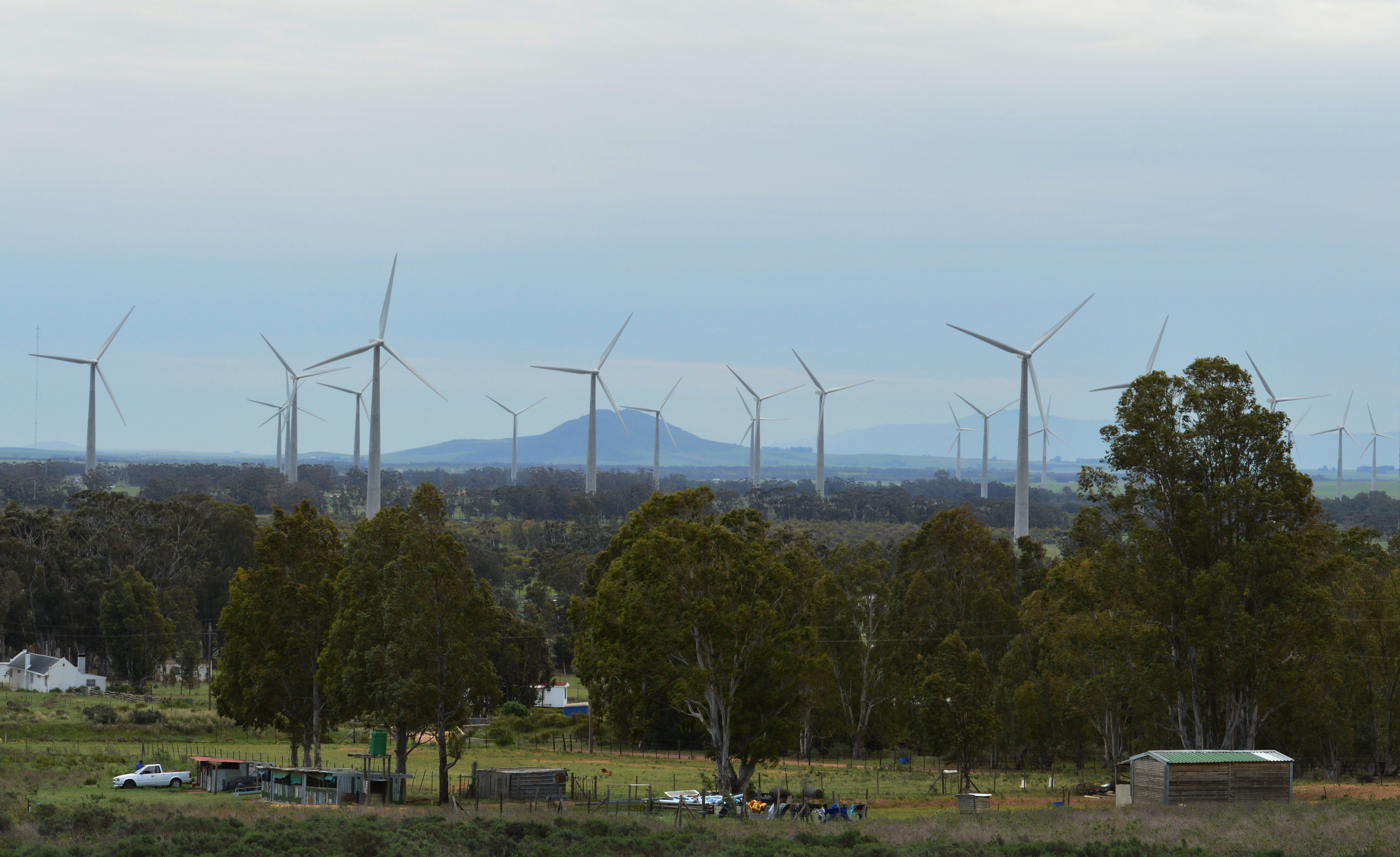 Wind Farm in the Western Cape, South Africa. (Wikimedia Commons.)