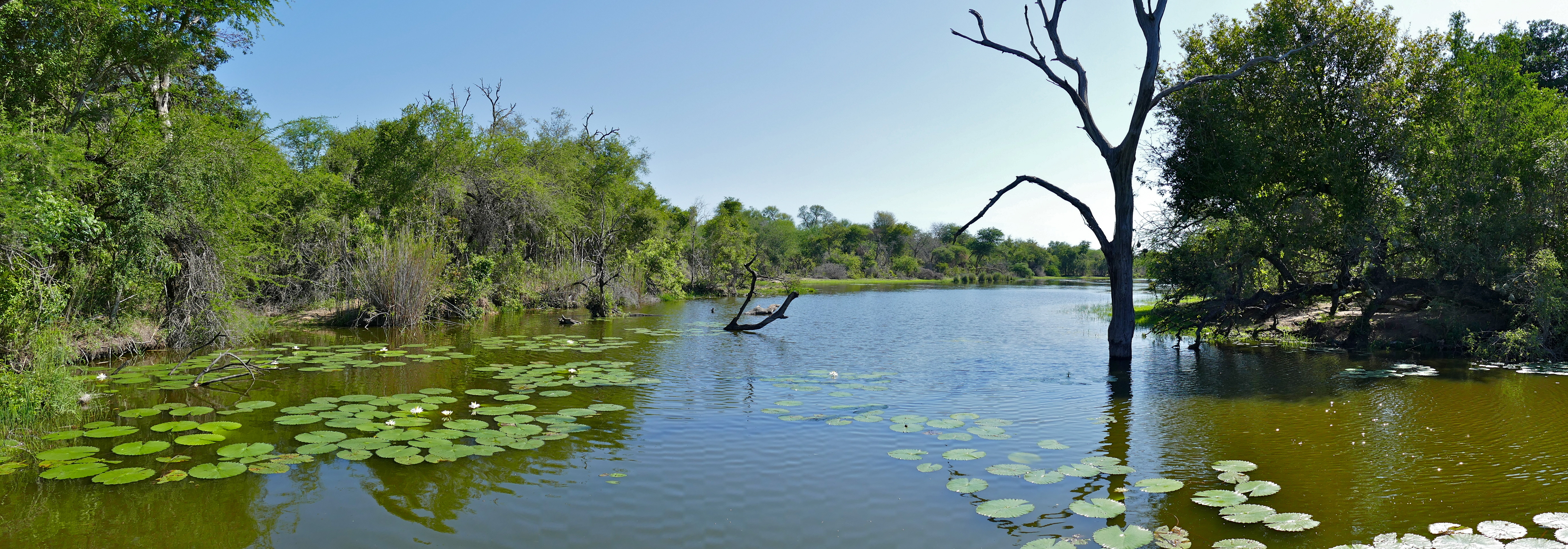 A Lake in Mpumalanga Province. (Wikimedia Commons.)