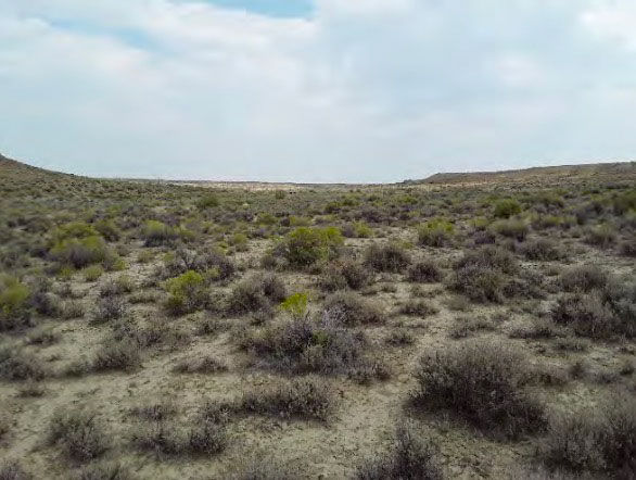 Otterson/Quealman, Soil Survey photographs, ISC Dry Creek Trona, 1000/1884 Otterson/Quealman, Soil Survey photographs, ISC Dry Creek Trona, 1000/1884