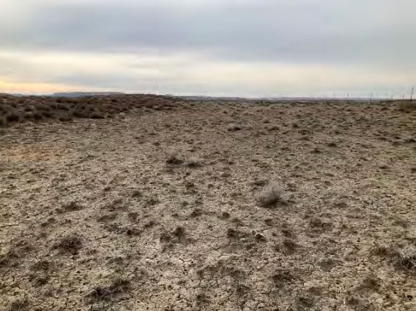 Moyerson, Soil Survey photographs, ISC Dry Creek Trona, 996/1884 Moyerson, Soil Survey photographs, ISC Dry Creek Trona, 996/1884