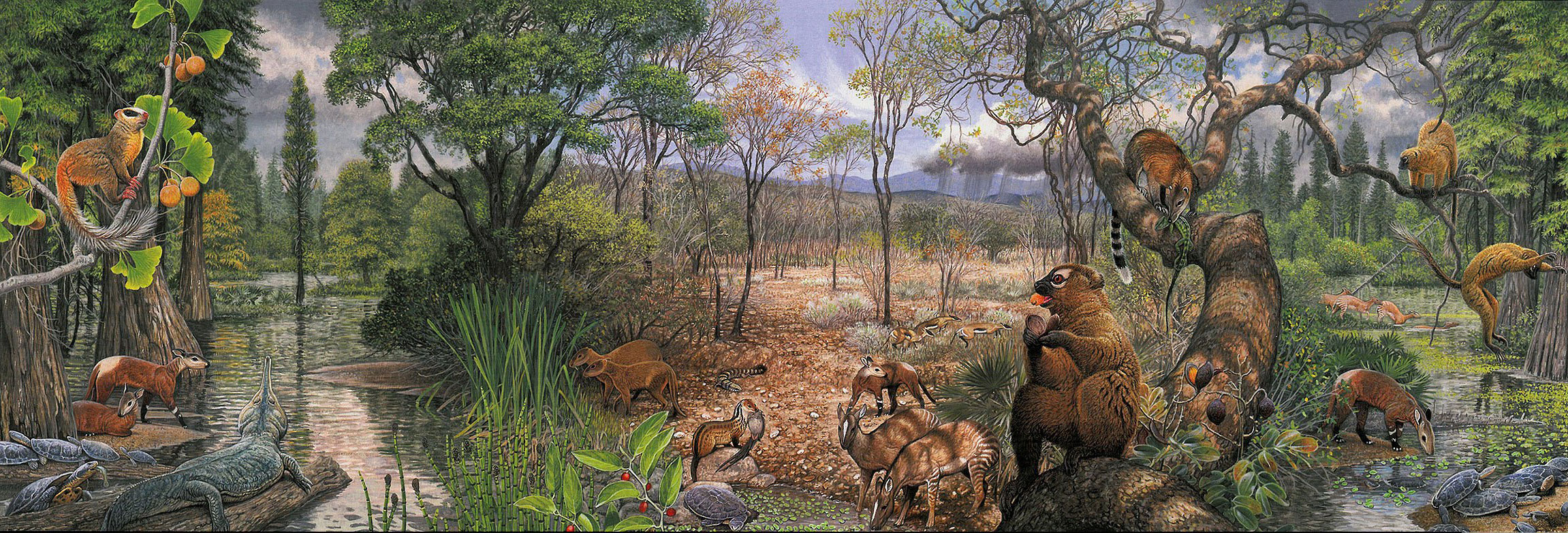 What Wyoming may have looked like about 56 million years ago. https://www.usgs.gov/media/images/trek-through-time-plaque-paleocene AND https://buckrail.com/wyomings-bighorn-basin-unlocks-secrets-to-massive-global-warming-events-some-50m-years-ago/ What Wyoming may have looked like about 56 million years ago. https://www.usgs.gov/media/images/trek-through-time-plaque-paleocene AND https://buckrail.com/wyomings-bighorn-basin-unlocks-secrets-to-massive-global-warming-events-some-50m-years-ago/