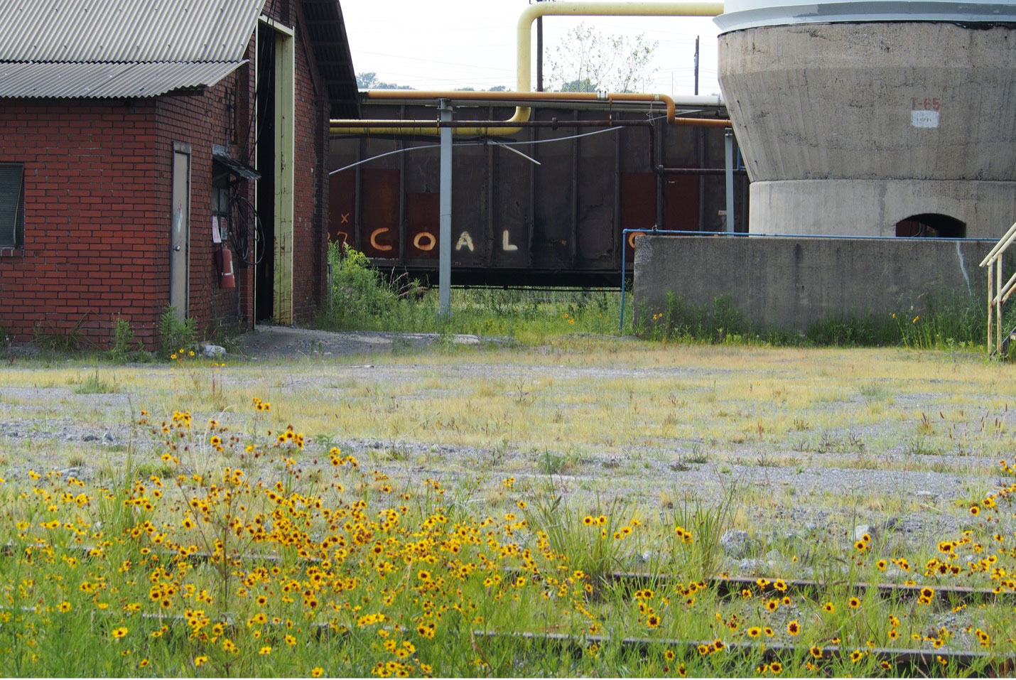 A coal car in the rail yard – seemingly long-inactive – of Bluestone Coke. Photo by Oliver Riskin-Kutz