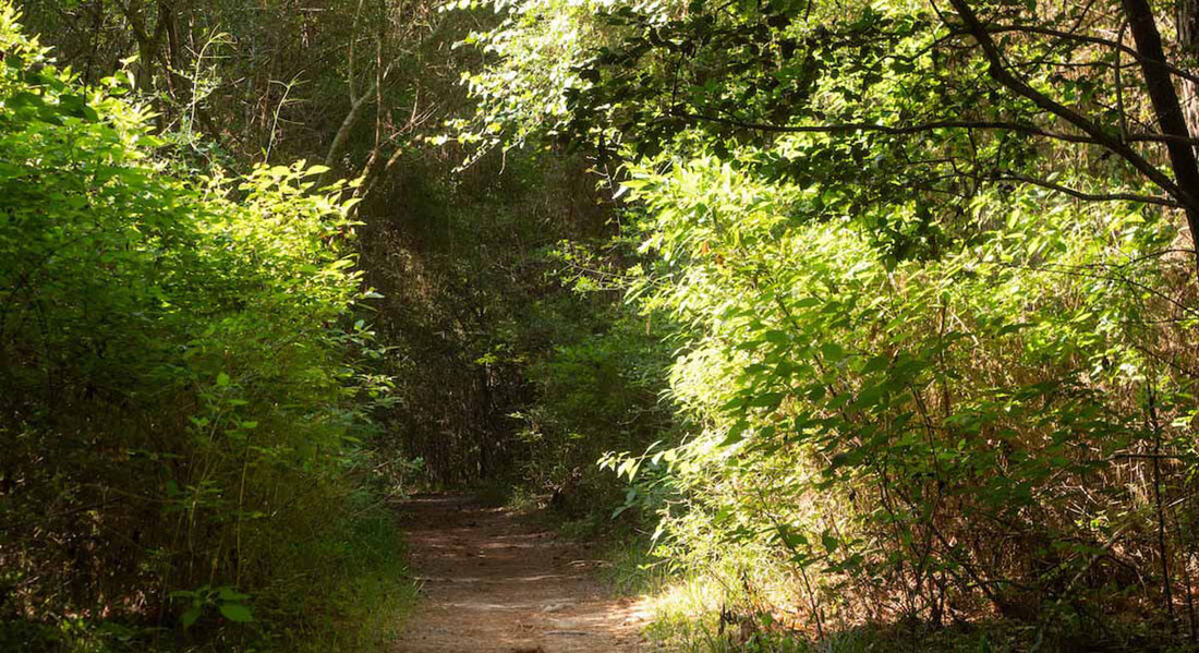 Spanning 1,800 acres, George Mitchell Nature Preserve is one of the largest natural areas in The Woodlands. https://assets.site-static.com/userFiles/3705/image/woodlands-parks-george-mitchell.jpg Spanning 1,800 acres, George Mitchell Nature Preserve is one of the largest natural areas in The Woodlands. https://assets.site-static.com/userFiles/3705/image/woodlands-parks-george-mitchell.jpg