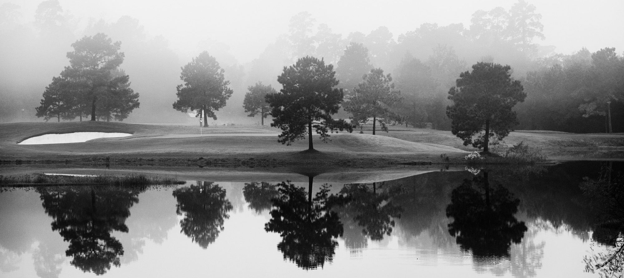 The Woodlands. https://www.thewoodlands.com/community/history/ The Woodlands. https://www.thewoodlands.com/community/history/