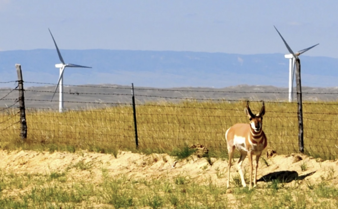 Photo by Daniel Terdiman, Senior Writer at CNET News. https://www.cnet.com/culture/from-coal-mine-to-wind-farm/ Photo by Daniel Terdiman, Senior Writer at CNET News. https://www.cnet.com/culture/from-coal-mine-to-wind-farm/