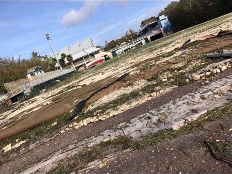 Fallen branches and trees seen while driving around my neighborhood after Hurricane Irma (September 2018).