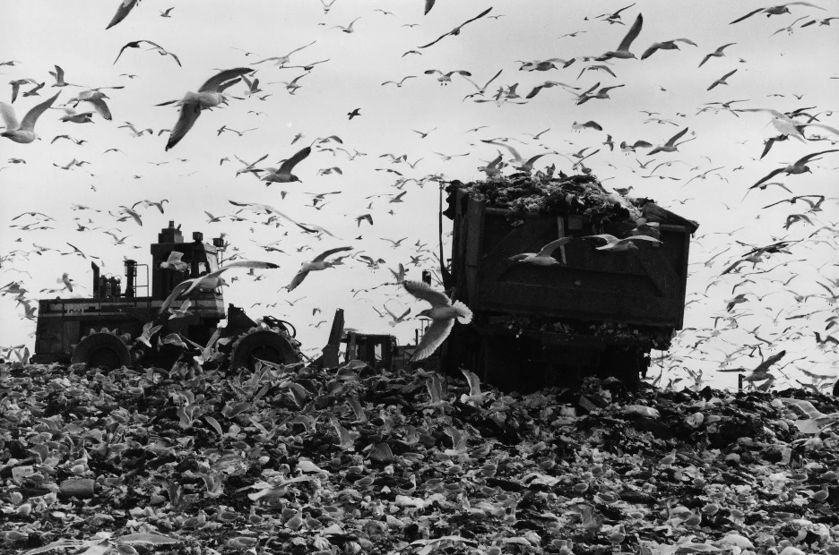 Fresh Kills, 1960s. https://ny.curbed.com/2017/5/4/15545280/freshkills-park-staten-island-history-future
