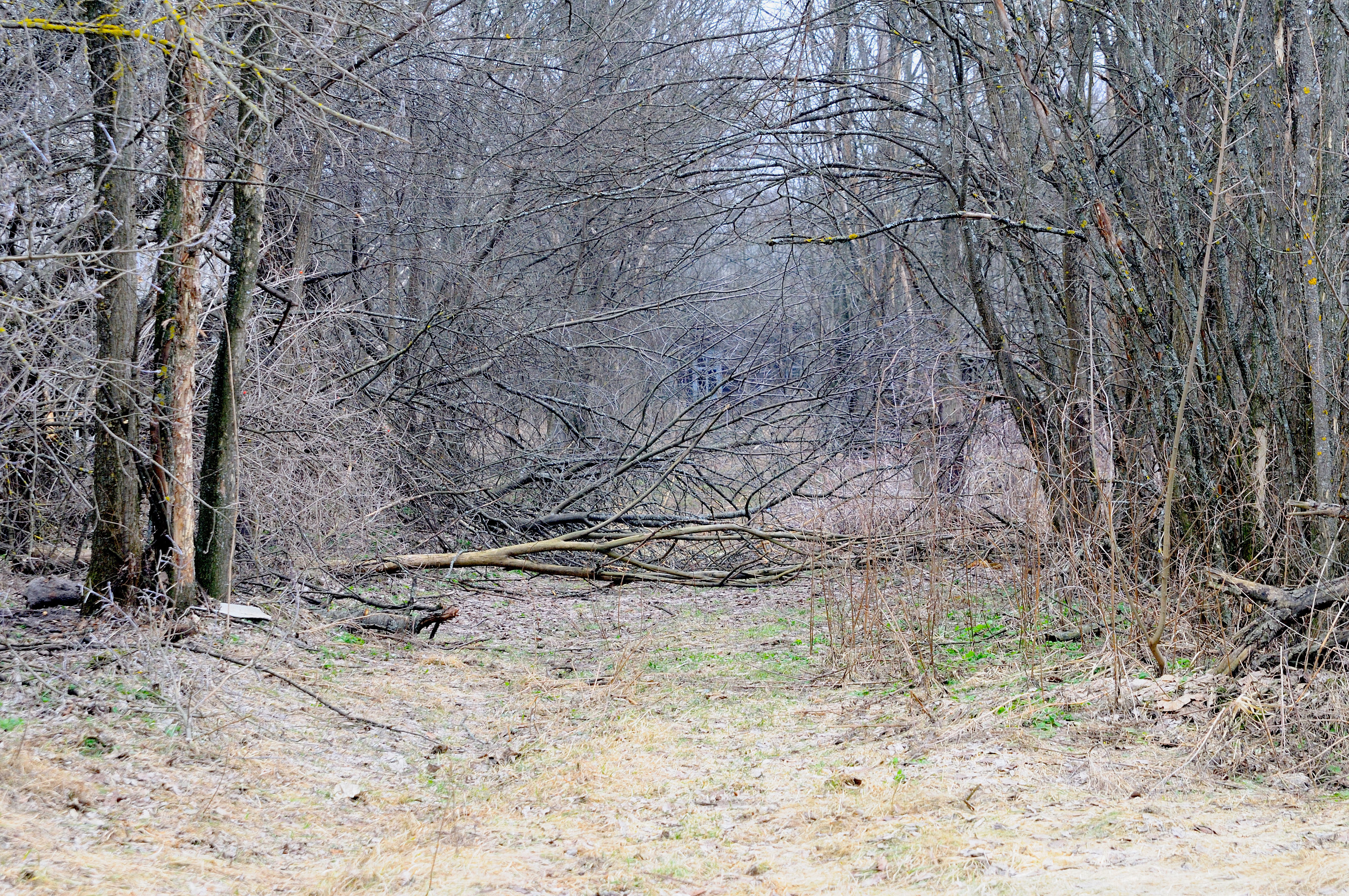 Figure 12: The abandoned village of Bely Berag. Photos by the author. 
