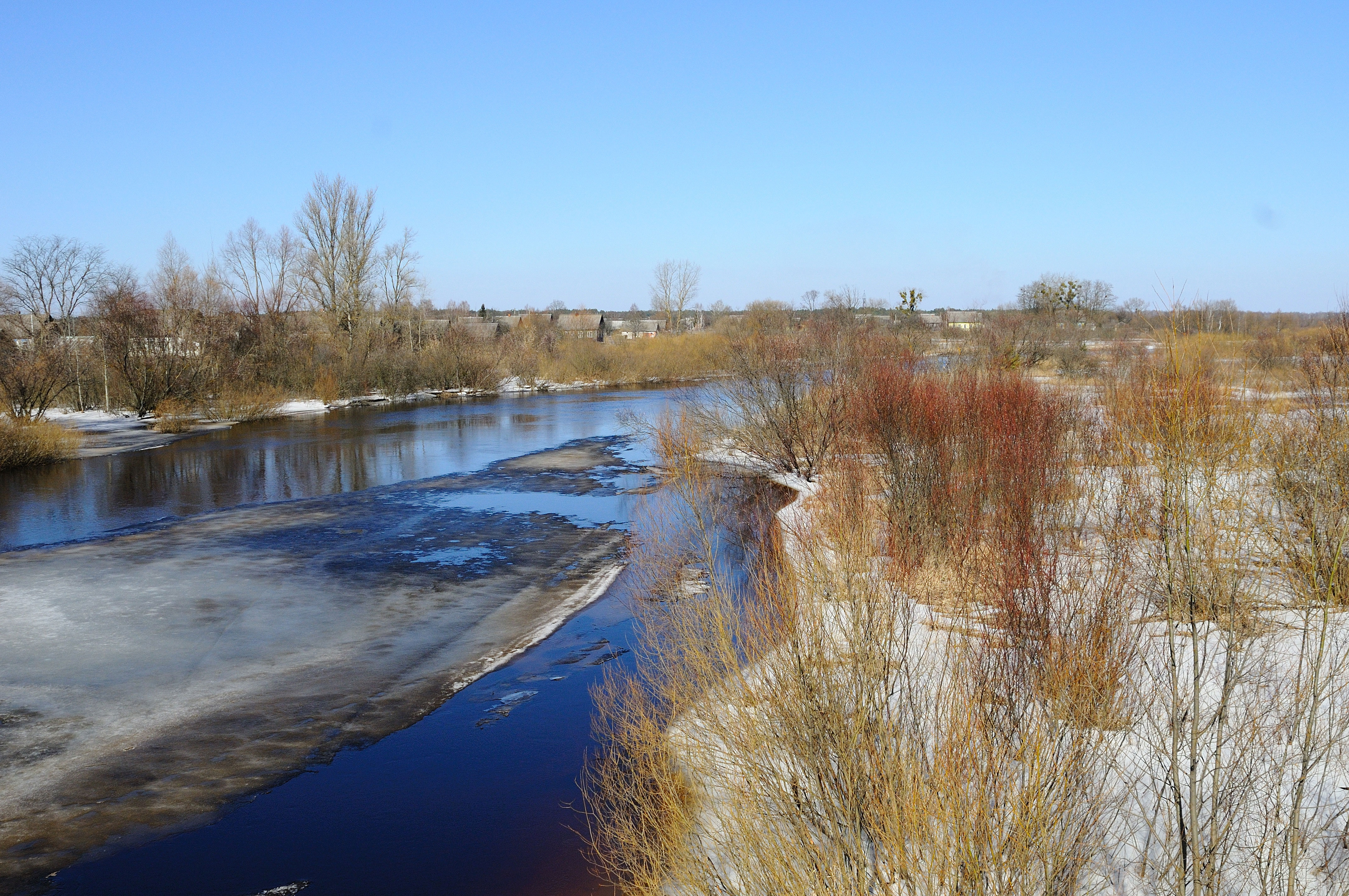Figure 6: The Polesian marshes, southern Belarus, in early spring, when the snow melts and vast wetlands form. Photos by the author. 
