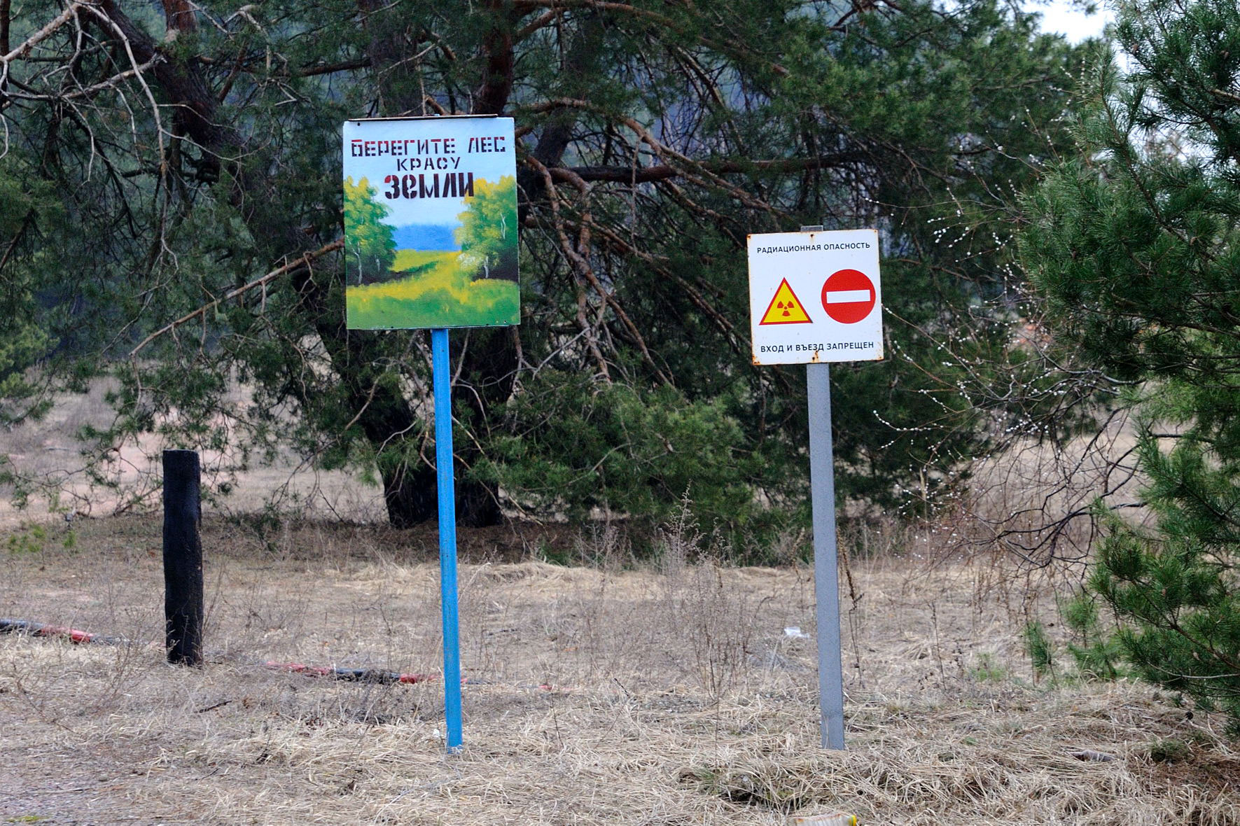 Figure 7: The sign on the left reads: "Protect the Forest, the Beauty of the Earth." The sign on the right reads: "Radiation Hazard. No Entry." Photo by the author. 