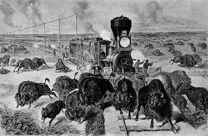Anonymous, “Bison herds, made up of thousands of huge animals, sometimes blocked the ‘iron trails’ of the early Western railroads. This woodcut shows trainmen and passengers of a stalled Kan-sas-Pacific train trying to clear the tracks by shooting them,” Library of Congress, reproduction no. LC-USZ62-133890, 2019.