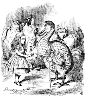 John Tenniel, “Dodo,” in Lewis Carroll, Alice in Wonderland, 1865, Wikimedia Commons, 6 Decem-ber 2009.