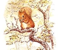 Beatrix Potter, “Squirrel Nutkin,” in The Tale of Squirrel Nutkin (1903), Wikimedia Commons.