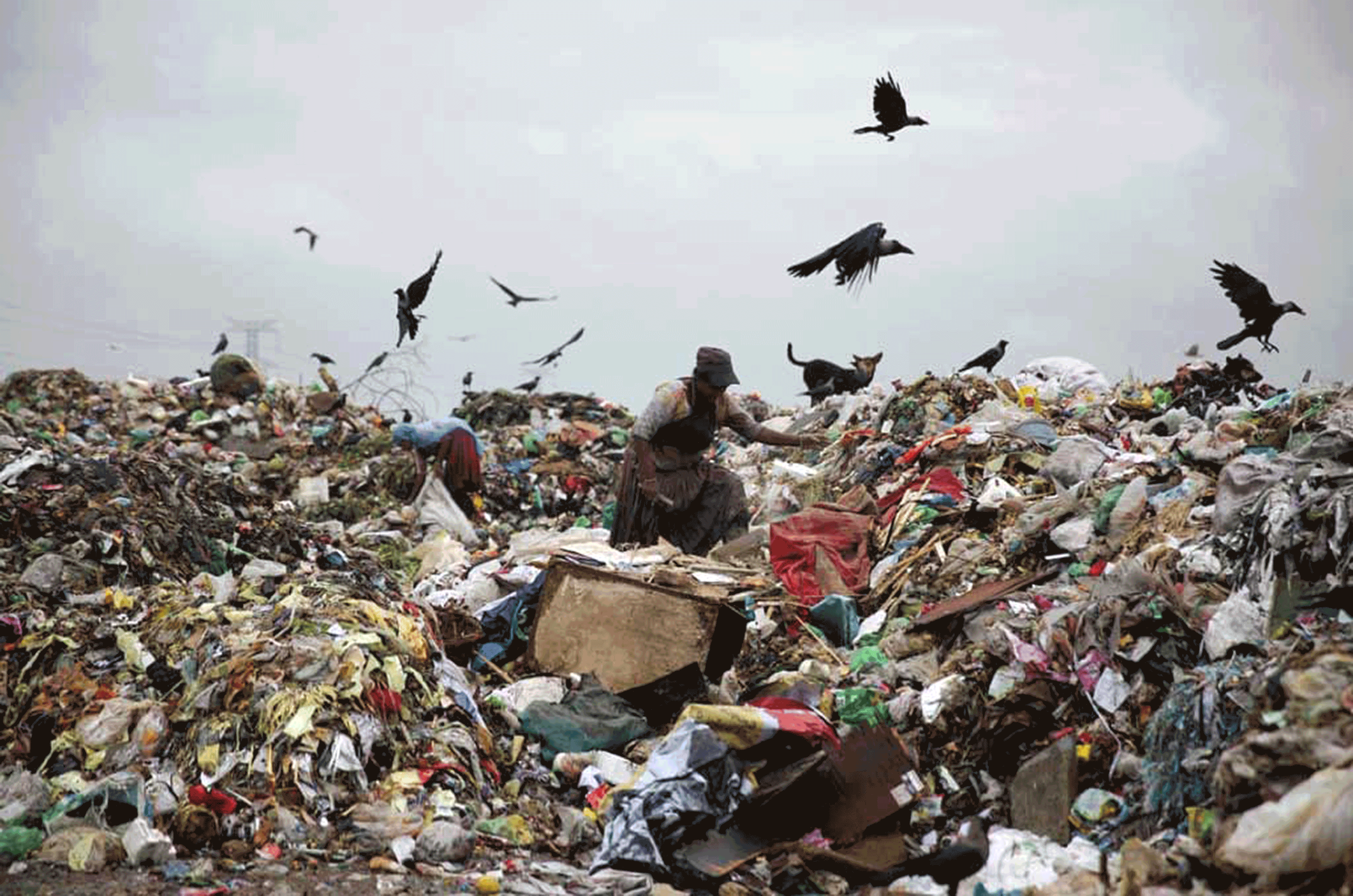 https://archive.dhakatribune.com/image-gallery/2020/11/10/in-pictures-matuail-landfill-site