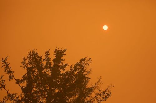 The sun looms over a cloud of smoke from the Santiam Fire near Gates, Ore., Sept. 9, 2020. Fires around Oregon could become the deadliest, costliest in state history. Bradley W. Parks / OPB. (https://www.opb.org/article/2020/09/10/detroit-oregon-destroyed-by-wildfires/)