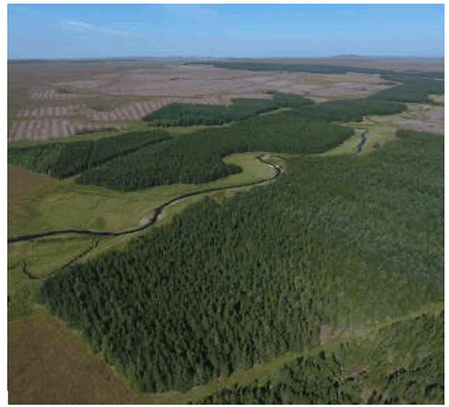 Aerial view of the forests. Accessed here: https://www.theflowcountry.org.uk/flow-facts/flow-fact-4/?web=1&wdLOR=cF8E30D0D-1F23-9F42-BCA0-66F625C5313A