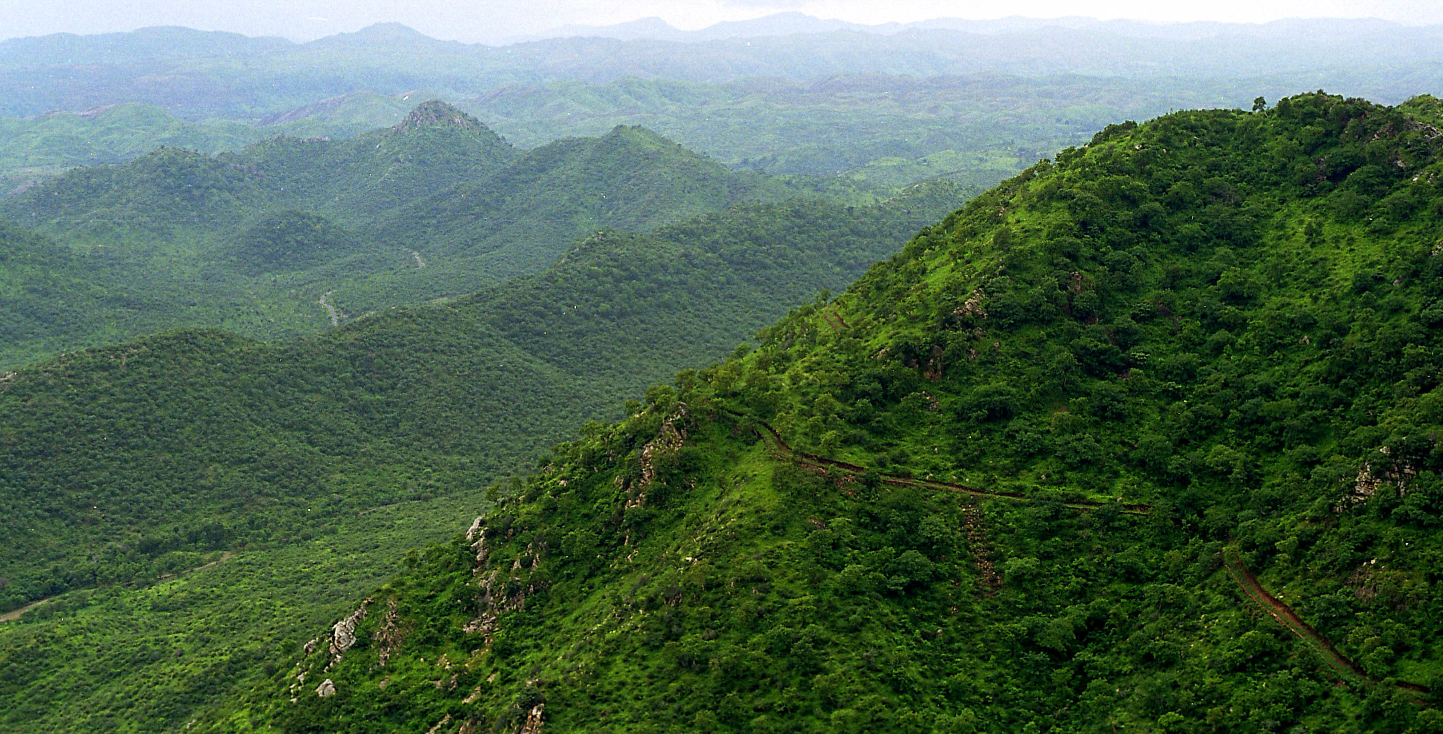The Aravalli Range. Wikimedia Commons.				https://commons.wikimedia.org/wiki/File:Aravalli.jpg