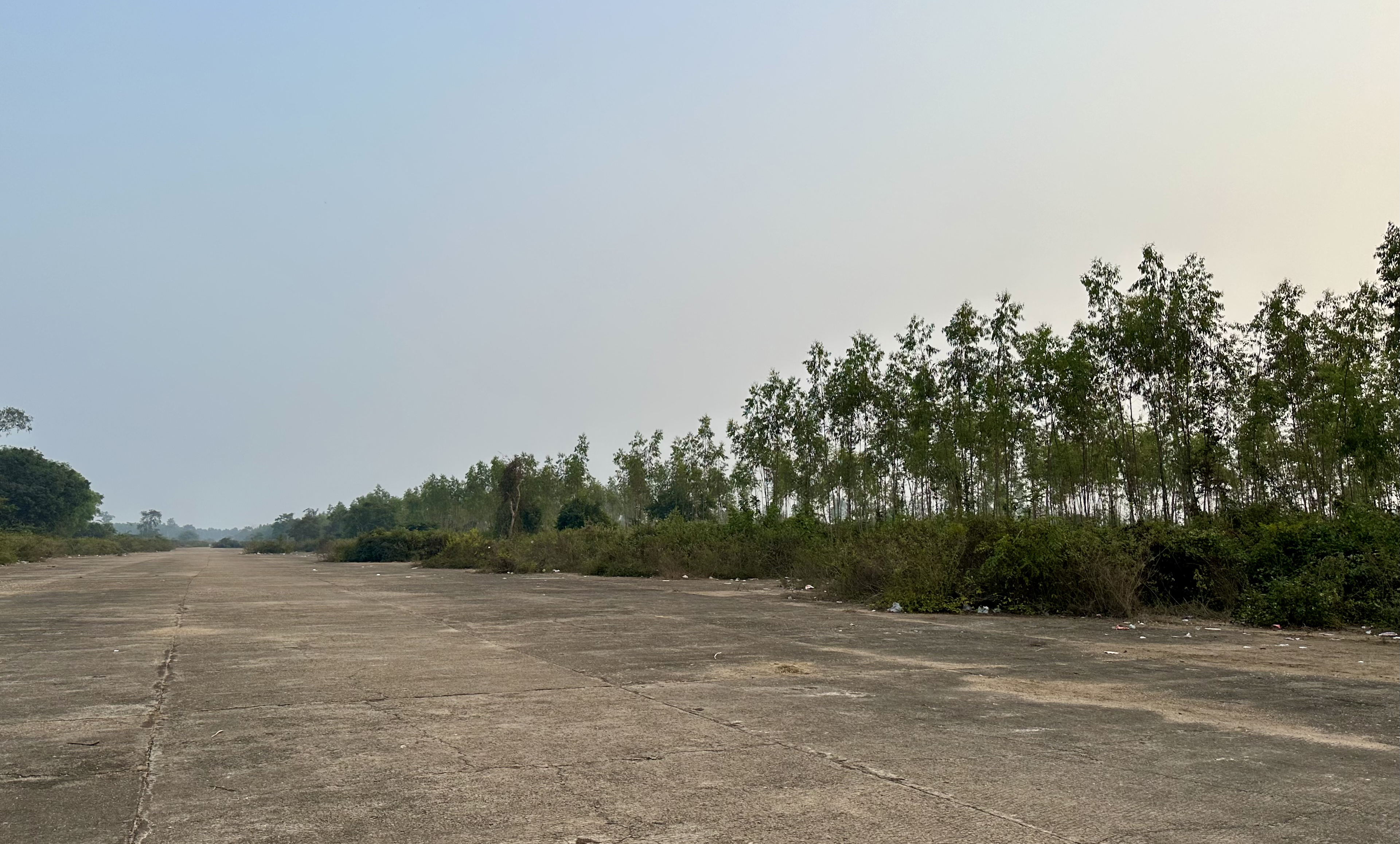 The runway in Joypur Forest, January 2024. Photo by author.
