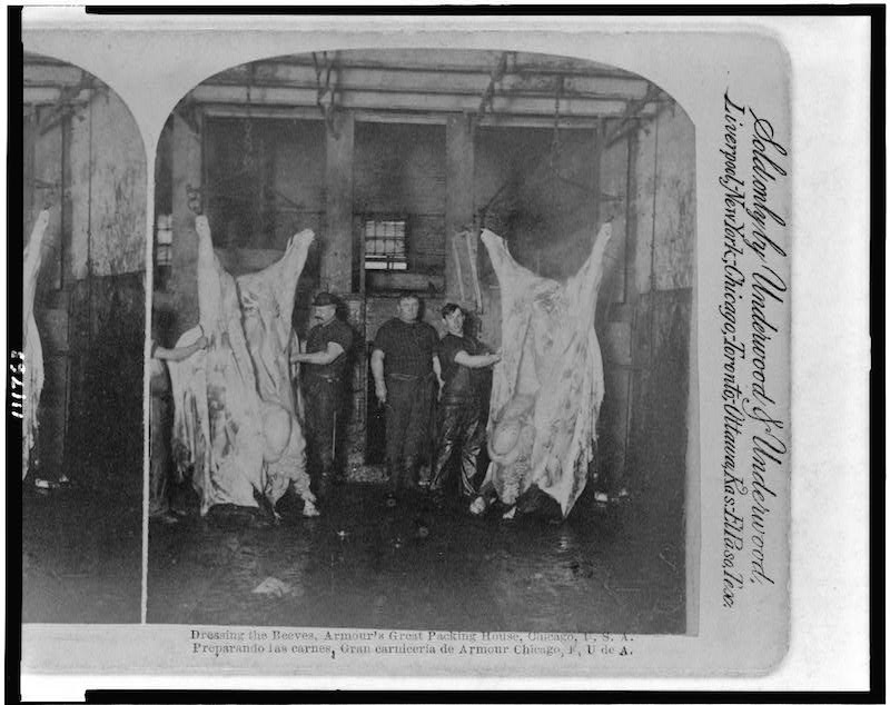 Dressing the beeves, Armour's great packing house, Chicago, U.S.A. c1892. (Library of Congress)