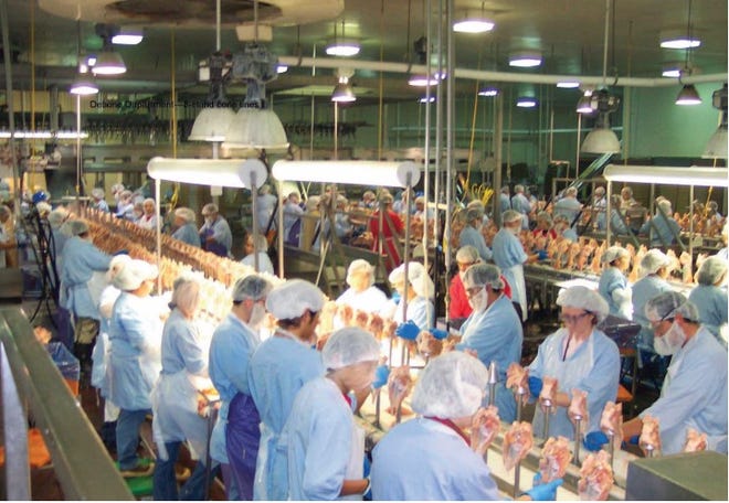 Workers stand close together on a poultry processing line as shown in this photo from a U.S. Government Accountability Office report.