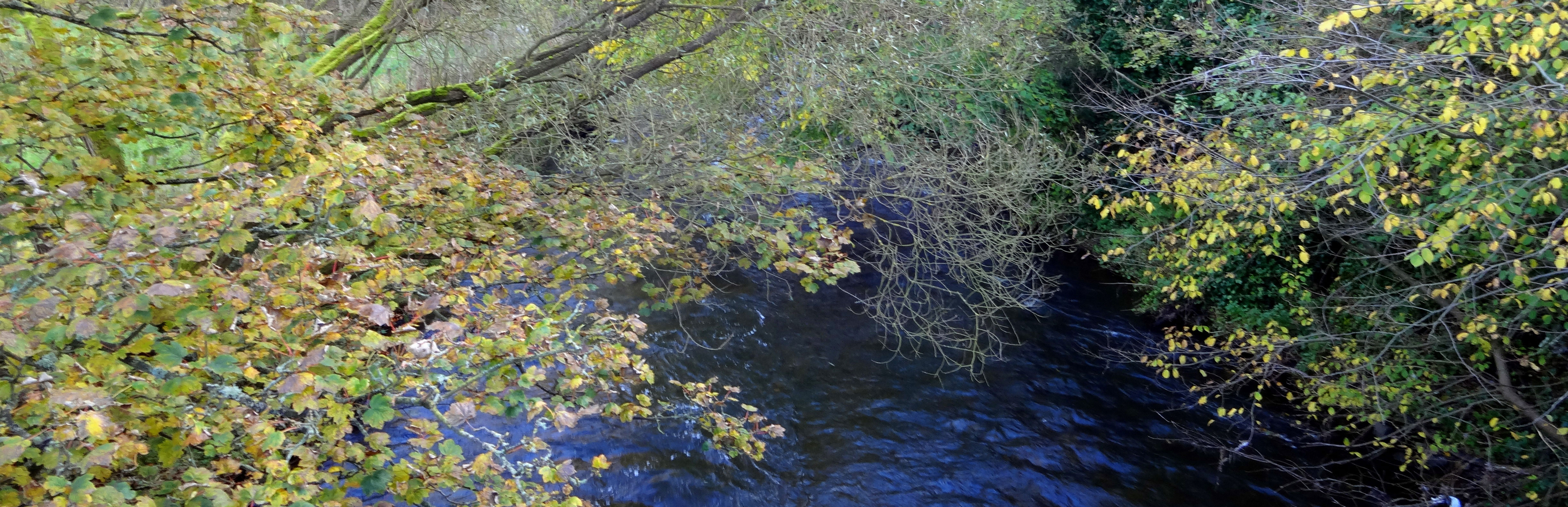 The River Leven near Balgonie, Fife. Ian Kumekawa, October 2012.