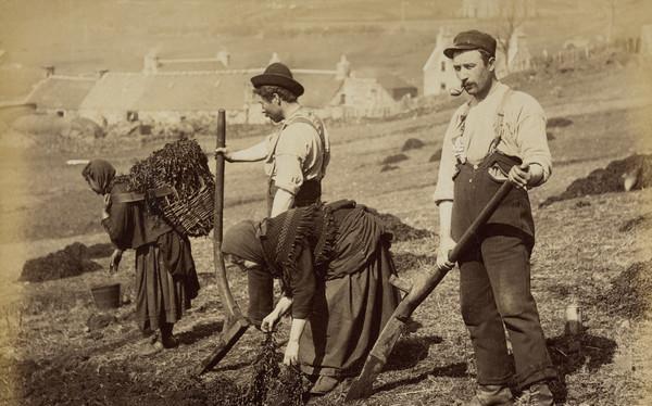 Skye Crofters, Planting Potatoes. George Washington Wilson. 18602-1880s. The MacKinnon Collection. Acquired jointly with the National Library of Scotland with assistance from National Lottery Heritage Fund, Scottish Government and the Art Fund.