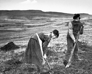 Skye Crofters using the crooked spade in the late nineteenth century for ploughing (source: ambaile.org.uk).