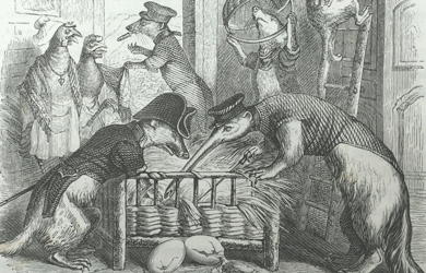 Vie privée et publique des animaux: vignettes par Grandville publiée sous la direction de P. J. Stahl (Paris, 1867)