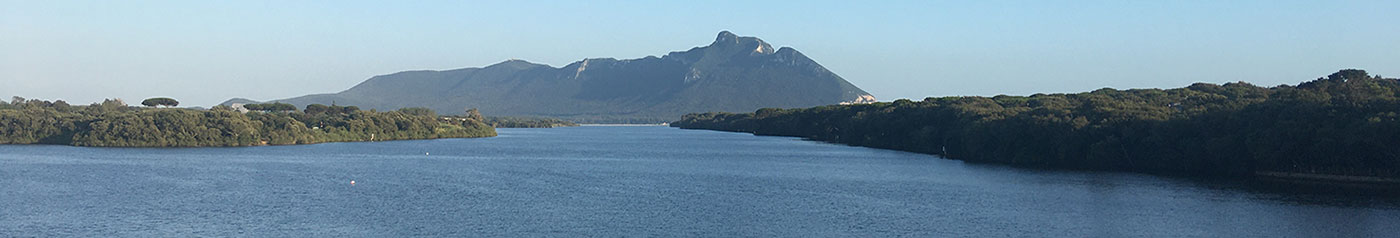 Monte Circeo, seen from the Lago di Sabaudia.
Emma Rothschild 2023