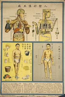 Human Body is like a Factory - Chinese Public Health Posters